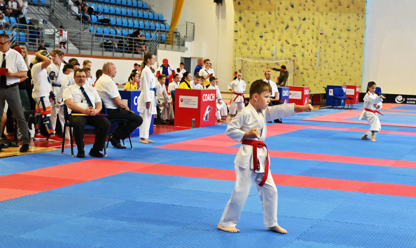 Pohár regionálnych zväzov v karate 2026 / 40 rokov Klubu karate Humenné