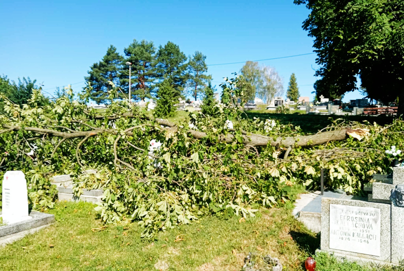 Silná búrka / dôsledky / čistenie