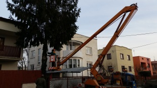 Cesta tohtoročného vianočného stromčeka z Gaštanovej ulice priamo na námestie
