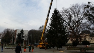 Cesta tohtoročného vianočného stromčeka z Gaštanovej ulice priamo na námestie