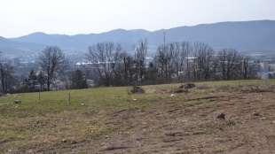 Kontrolný deň 26. marca - cintorín