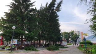 Dôsledok búrky
