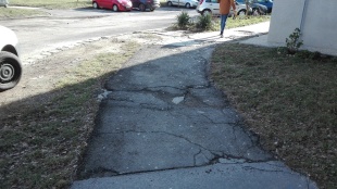 Třebíčska 11