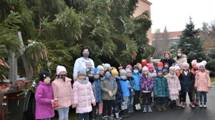 Vianočný stromček - zo škôlky na námestie