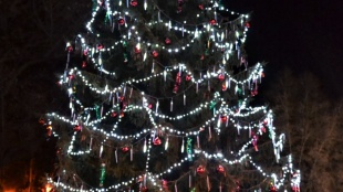 Slávnostné rozsvietenie vianočného stromčeka