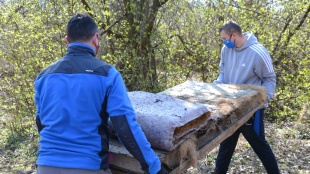 KAŽDÉ VRECE SA RÁTA – Sninský most