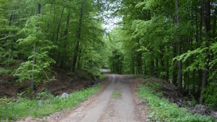 Spoznaj Hubkovú