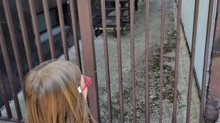 Hľadaj stratené písmenká
