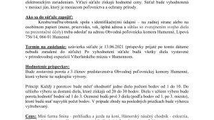 Štatút súťaže