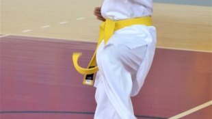 Mestské športové dni - karate a plávanie
