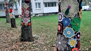 Háčkované dečky skrášlili brezy