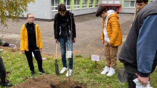 Výzva "Zasaď strom!" 2021