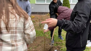 Výzva "Zasaď strom!" 2021
