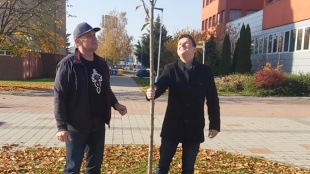 Poslanci z klubu Odvážne Humenné vysadili na Južnom námestí okrasné čerešne