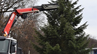 Vianočná jedlička v Humennom na svojom mieste