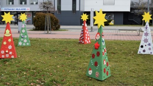 Vianočné stromčeky na Južnom námestí