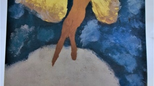 Máj