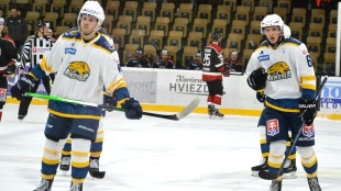 Dominik Borov, Adam Stripai
