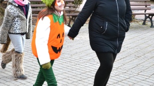 Sprievod masiek, fašiangy... (26.2.)