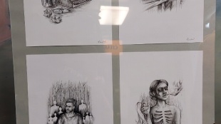 Festival slov - ilustrácie Alexandry Vasiľovej (v knihe M. Zelinku)