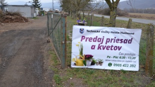 Skleníkové hospodárstvo Lackovce ponúka sadenice na predaj