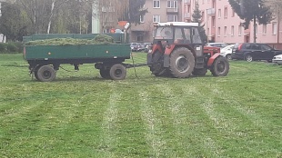 Prvá tohtoročná kosba