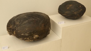 Z hlbín Zeme - prírodovedná expozícia
