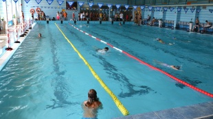 Vyber si svoj šport - plávanie