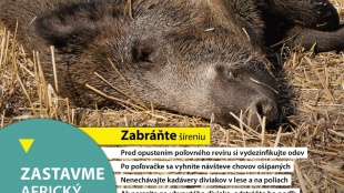 ZASTAVME SPOLOČNE africký mor ošípaných