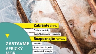 ZASTAVME SPOLOČNE africký mor ošípaných