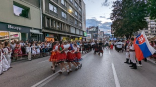 DFS Chemloňáčik v Srbsku