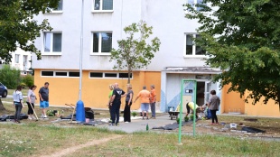 Brigáda na Laboreckej 75 - "Skrášľujem svoje mesto"