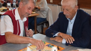 Turnaj v hre Človeče, nehnevaj sa!