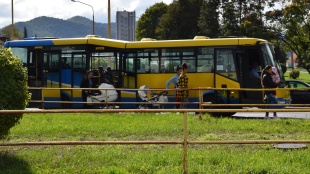 Európsky týždeň mobility, MHD zdarma