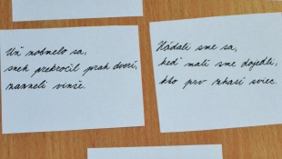 Literárna súťaž Vianočný príbeh... Téma: Vianočné haiku