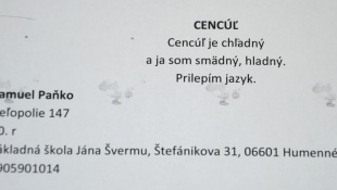 Literárna súťaž Vianočný príbeh... Téma: Vianočné haiku