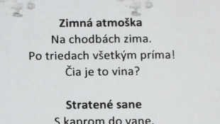 Literárna súťaž Vianočný príbeh... Téma: Vianočné haiku