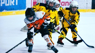 Novoročný hokejový turnaj - predprípravka HT2