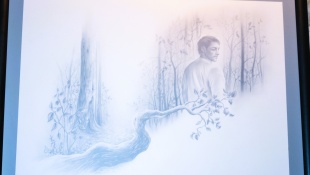 Výstava ilustrácií Alexandry Semanovej