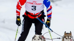 Igor Štefan + Fajak a Jenson