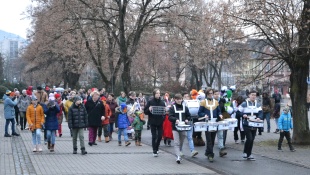 Karnevalový sprievod