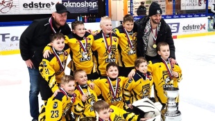 Mini Stanley Cup 2022