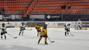 Mini Stanley cup 2023 - HK Humenské Levy