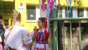 MŠ Dargovských hrdinov