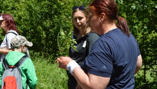 Workshop v teréne - Spoznávanie bylín