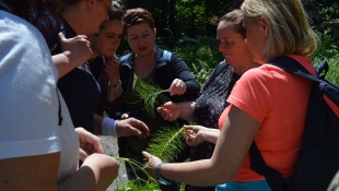 Workshop v teréne - Spoznávanie bylín