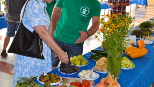 Výstava ovocia a zeleniny (augusta 2023)