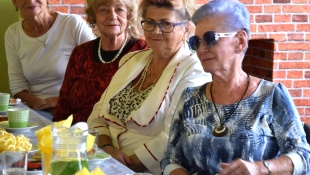 Turnaj v hre Človeče, nehnevaj sa!