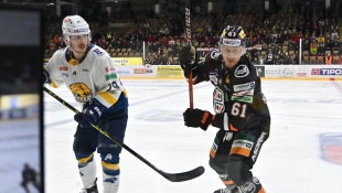 HC 19 Humenné - HC Košice 1:3