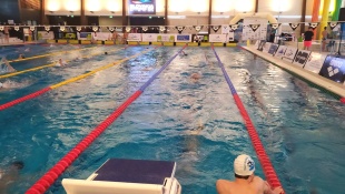 Slovakia swimming cup 2023